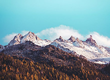 天天盈球-U23 国足挺进亚洲杯决赛点燃足球概念股！ 相关产业链迎黄金窗口期